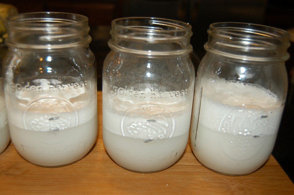 Homemade Coconut Milk