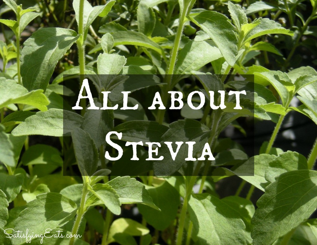 Stevia_rebaudiana_foliage