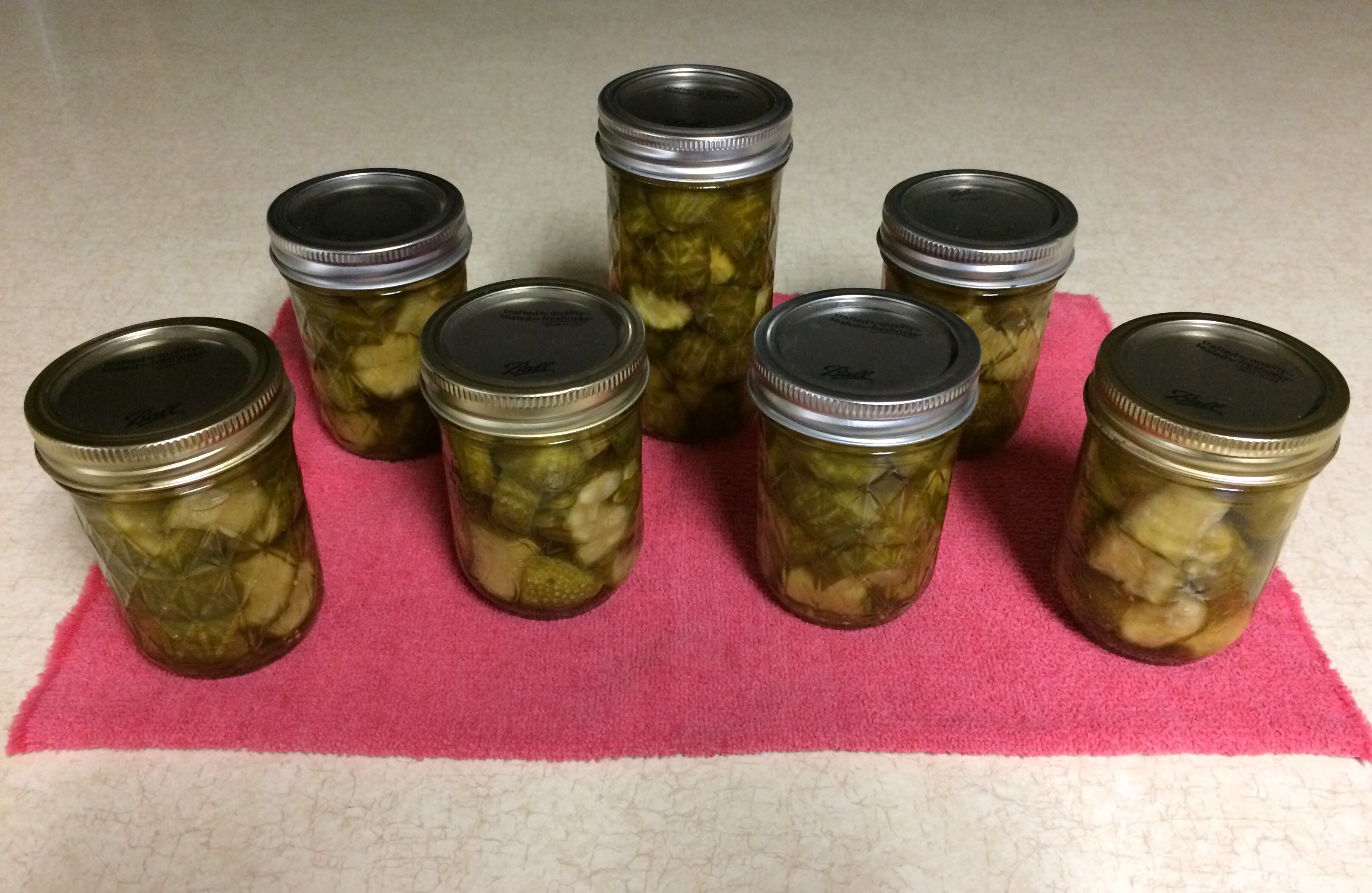 LowCarb Crunchy Sweet Pickles